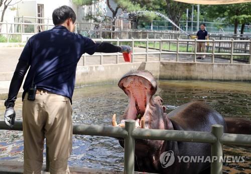 코로나19로 문 닫은 전주동물원 재개장…하루 5천명 제한