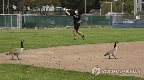 마이너리그 급여, 샌디에이고는 8월까지 보장·오클랜드는 중단